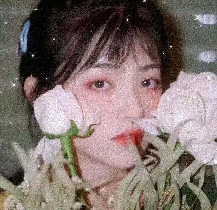 玫瑰公寓